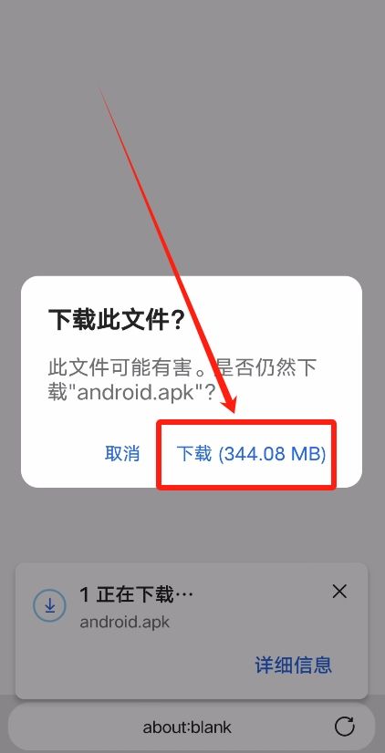 方法二:官方下载APK文件