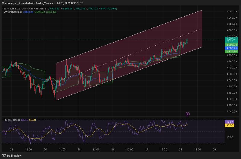通道结构和 RSI 信号健康趋势延伸
