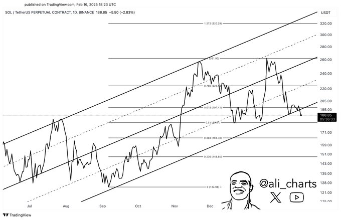 Solana 的下一步是什么？