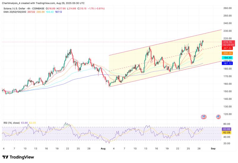 Solana 价格保持坚挺，渠道结构引领趋势