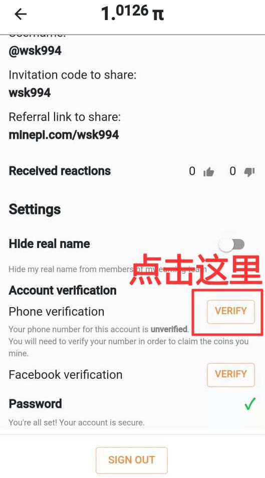 Pi币手机短信验证_图3