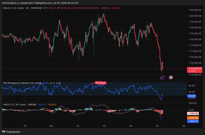 为什么比特币价格今天下跌？_图4