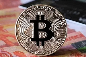 CBK币今天的价格是多少