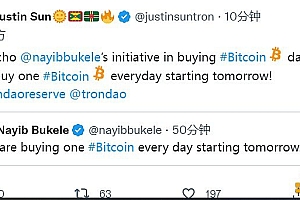 孙宇晨:波联储也将从明天开始,每天购买一个BTC