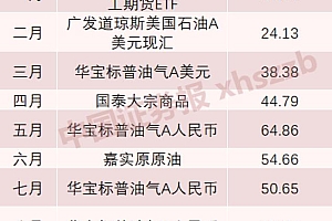 未来三年最有潜力的基金(未来那些基金是潜力股)