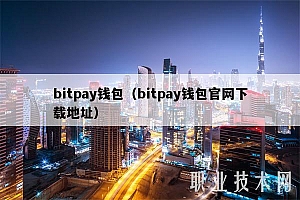 bitpay钱包(bitpay钱包官网下载地址)