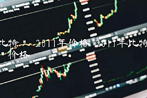 2011年价格