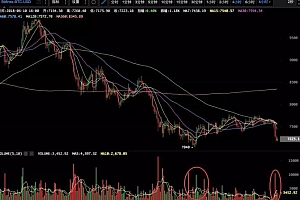 除了炒币,区块链应用的真正风口在哪里?