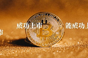 维卡币能成功上市吗