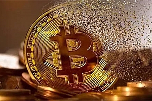 WRK币最高价格是多少