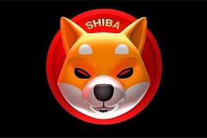 SHIB屎币今日价格 屎币最新价格实时报道