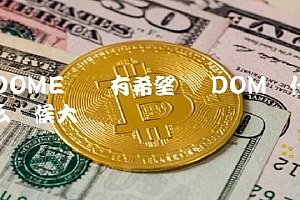 DOM币什么时候大涨