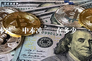 中本冲币现在多少钱一个
