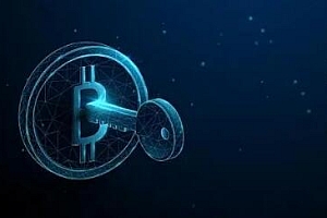 usdt支付平台|虚拟货币交易平台软件