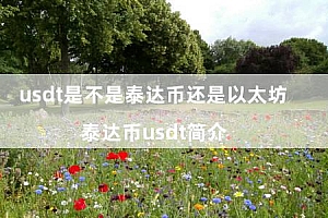 usdt是不是泰达币还是以太坊(泰达币usdt简介)