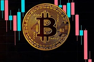 比特币多少钱合理(一个比特币现在多少钱)