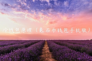冷钱包原理(氪石币钱包手机版)