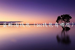 蓝鲸淘钱包(btc钱包有哪些)