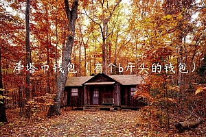 泽塔币钱包(有个b开头的钱包)