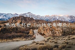 热钱包防护(otc钱包有哪些)