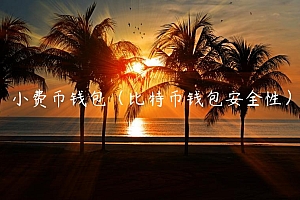 小费币钱包(比特币钱包安全性)