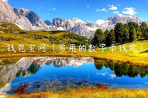 钱包宝网(常用的数字币钱包)