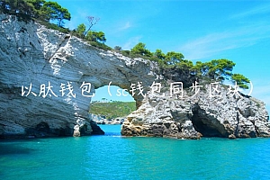以肽钱包(sc钱包同步区块)