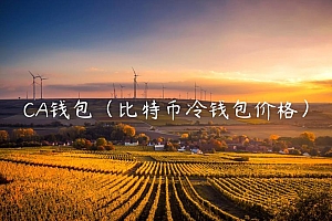 CA钱包(比特币冷钱包价格)