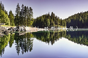 z币钱包(bts放那个钱包)