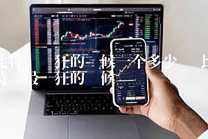 比特币疯狂的时候一个多少钱