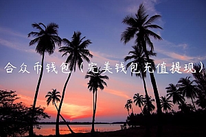 合众币钱包(完美钱包充值提现)