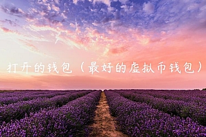 打开的钱包(最好的虚拟币钱包)