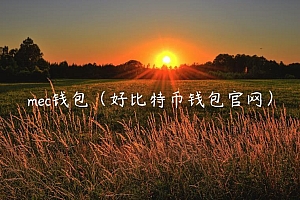 mc钱包(好比特币钱包官网)