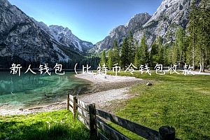 新人钱包(比特币冷钱包收款)