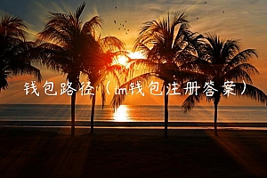 钱包路径(im钱包注册答案)
