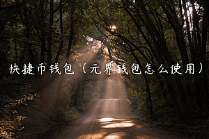 快捷币钱包(元界钱包怎么使用)