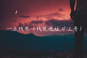 一点钱包(钱包地址.矿工号)