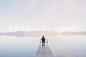 美钞钱包(uc闯关游戏钱包)