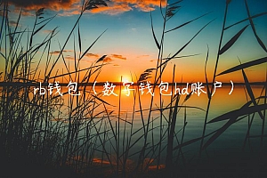 rb钱包(数字钱包hd账户)