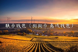 联币钱包(狗狗币 离线钱包)