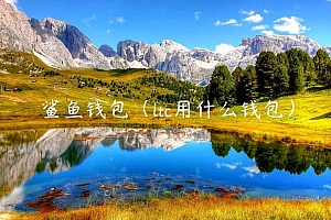 鲨鱼钱包(ltc用什么钱包)