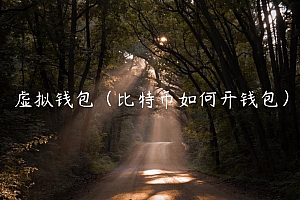 虚拟钱包(比特币如何开钱包)