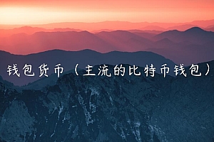 钱包货币(主流的比特币钱包)