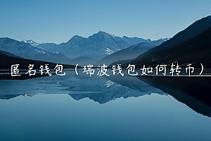 匿名钱包(瑞波钱包如何转币)
