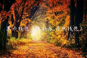 黑币钱包(比特派 是热钱包)