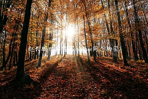 赵长鹏世界首富 – paillir同态加密