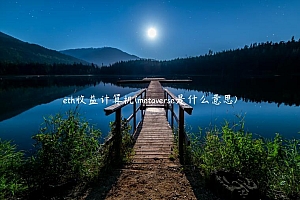 th收益计算机 – mtavrs是什么意思