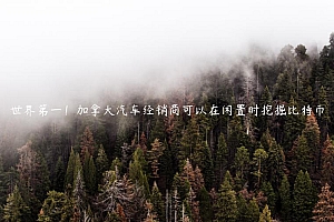 世界第一!加拿大汽车经销商可以在闲置时挖掘比特币