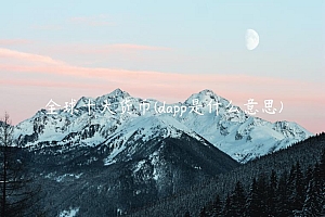 全球十大货币 – dapp是什么意思