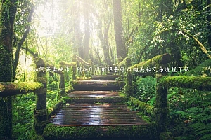 PIV如何买卖硬币,PIV介绍介绍普维币购买和交易流程介绍